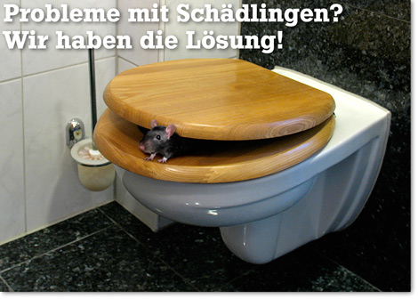 Schädlingsbekämpfung Essen